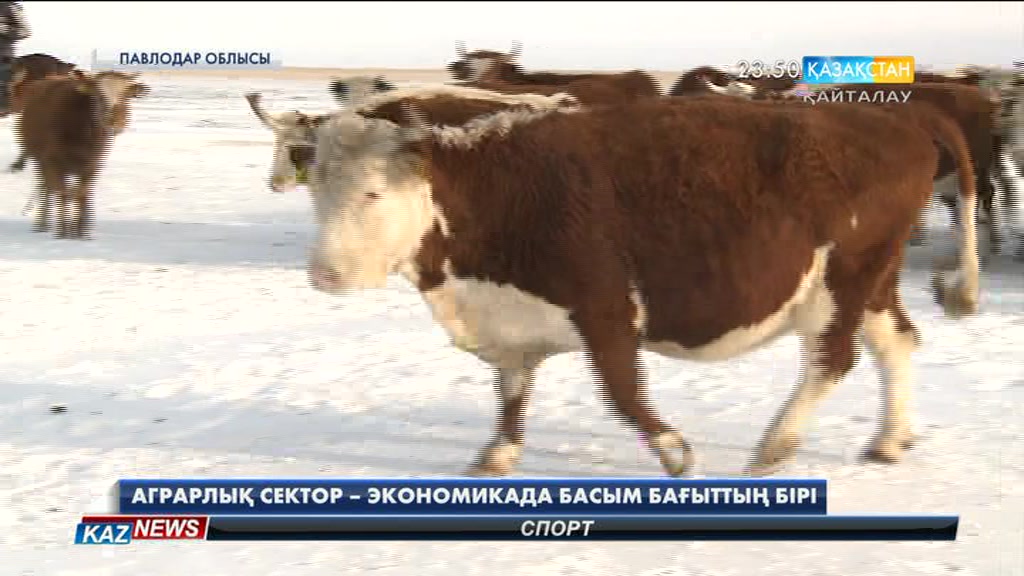 Аграрлық сектор – экономикада басым бағыттың бірі