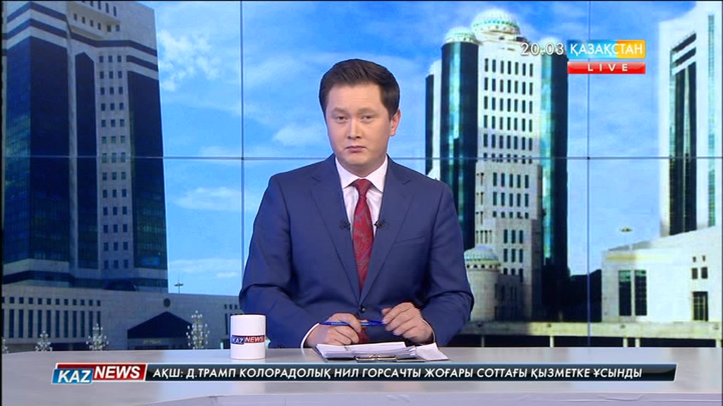 Үкімет елдегі экономикалық, әлеуметтік салаға тікелей жауапты болады