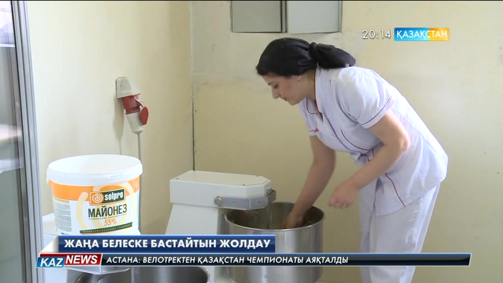 Елбасы: Қазақстан тұтас құрлықтың наубайханасы болуы үшін алдымен халқымызды арзан әрі сапалы нанмен қамтуымыз керек