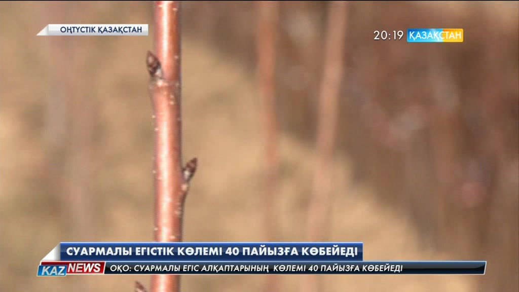 Суармалы егістік көлемі 40 пайызға артады