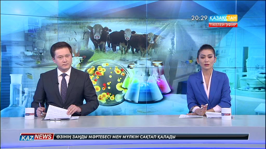 Шығыс Қазақстан облысында шаруалар ет өнімдерін экспорттай алмай отыр