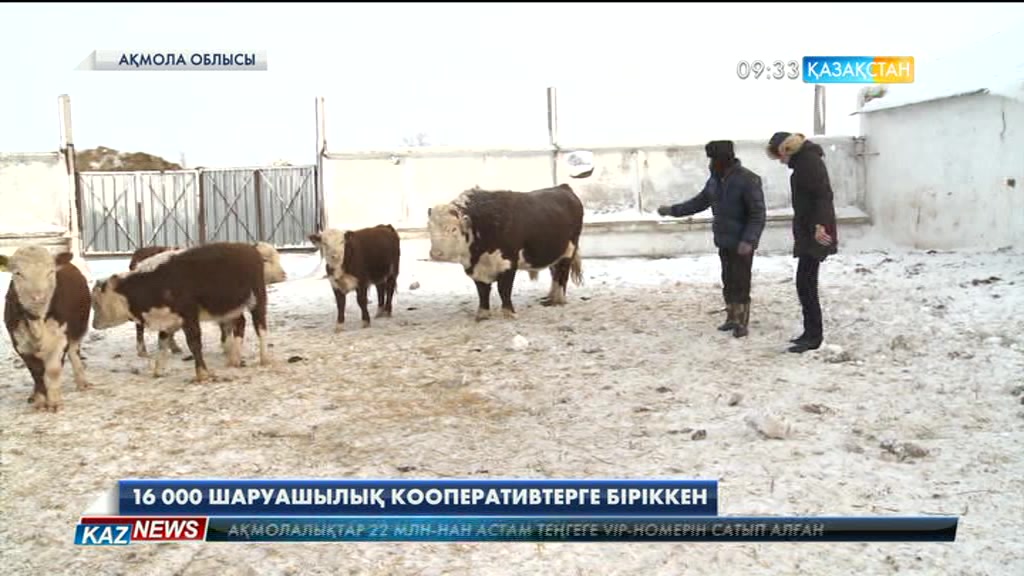 Ақмола облысында 16 мың жеке үй шаруашылығы 185 кооперативке біріккен