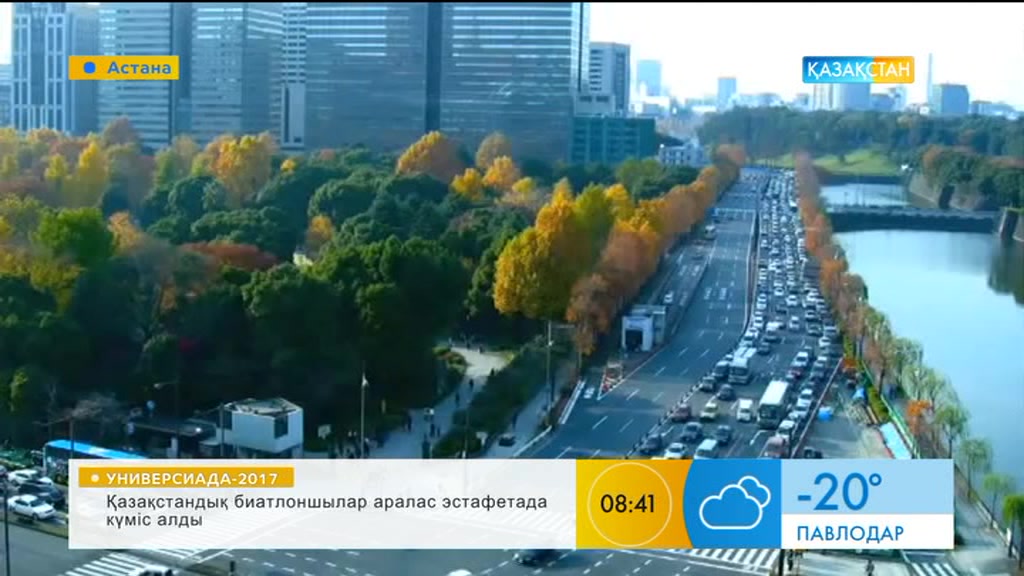 Өсіп тұрған ағаштың үстіне салынған үйді көргенсіз бе?