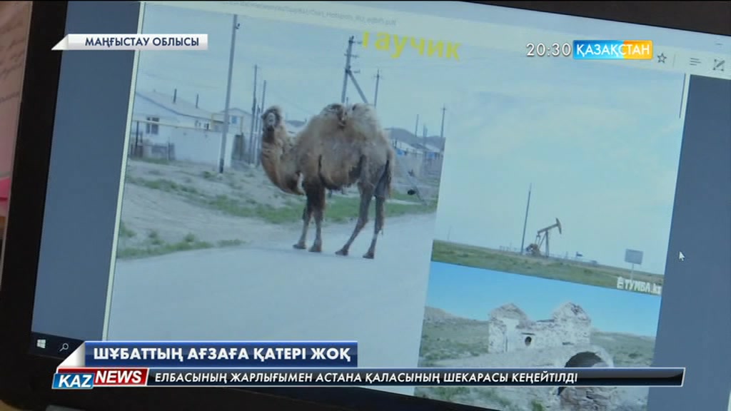 Шұбат онкологиялық аурулар тудыруы мүмкін бе?