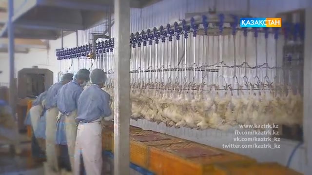 Бағаны негізсіз көтергендер жазаланады