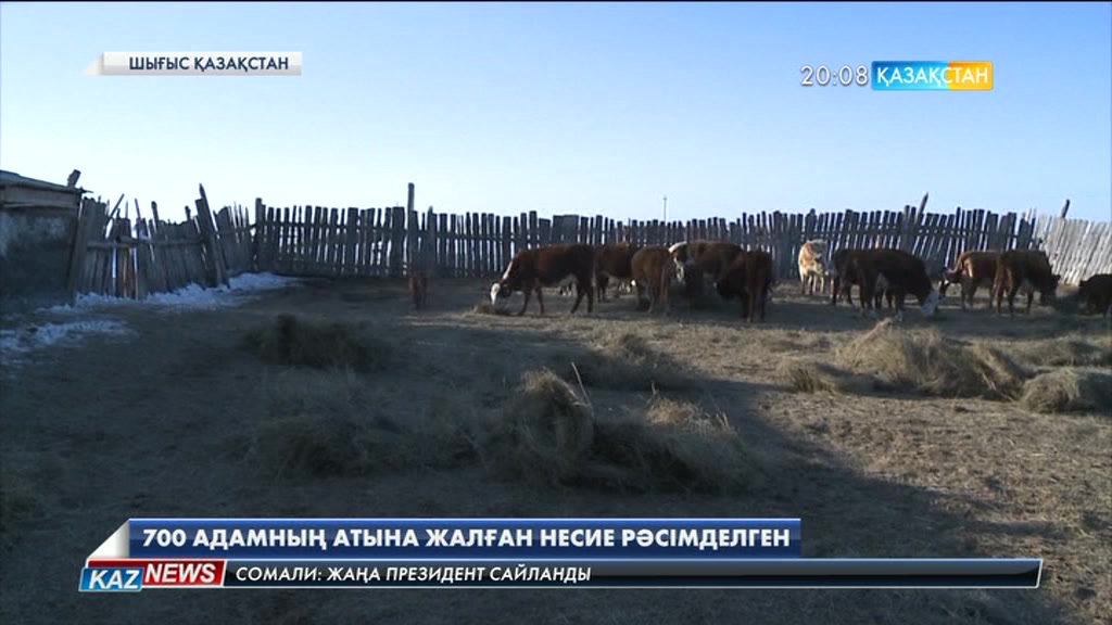 ШҚО-да ұйымдасқан қылмыстық топ 700-ден аса адамның атына жалған несие рәсімдеген