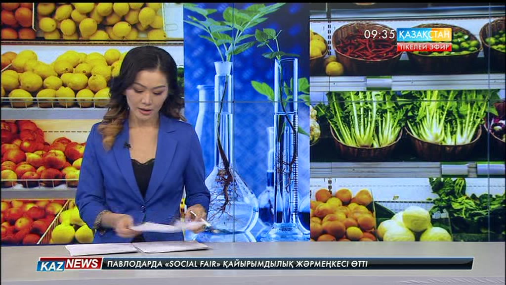 ГМО пайдалы ма, зиян ба?