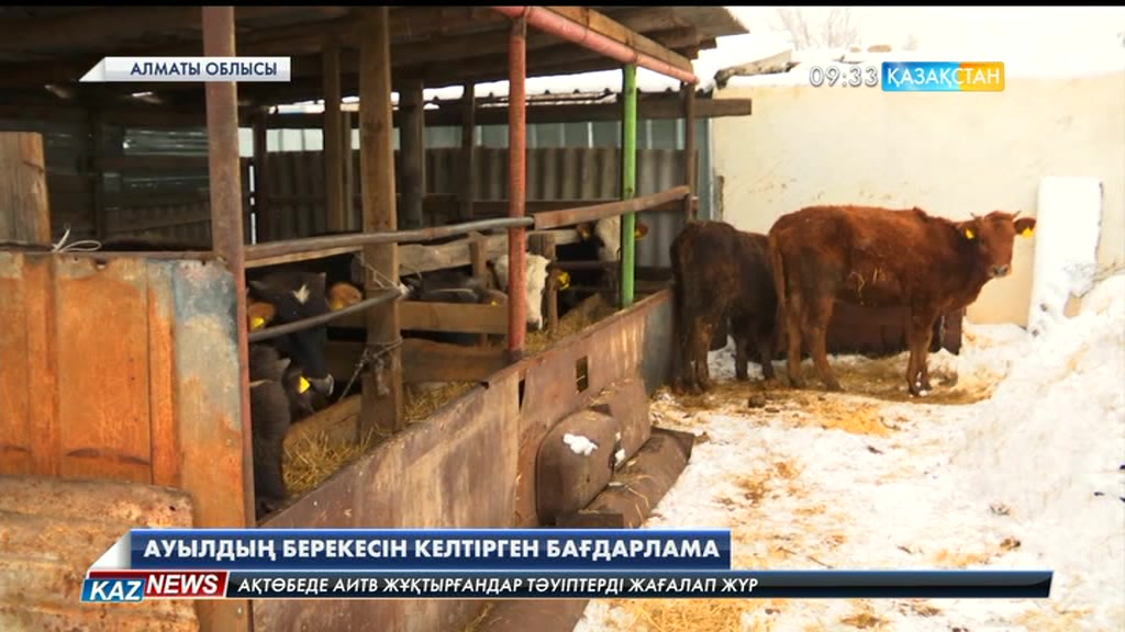 «Береке» бағдарламасы еліміздің 50 ауылында жүзеге асып жатыр