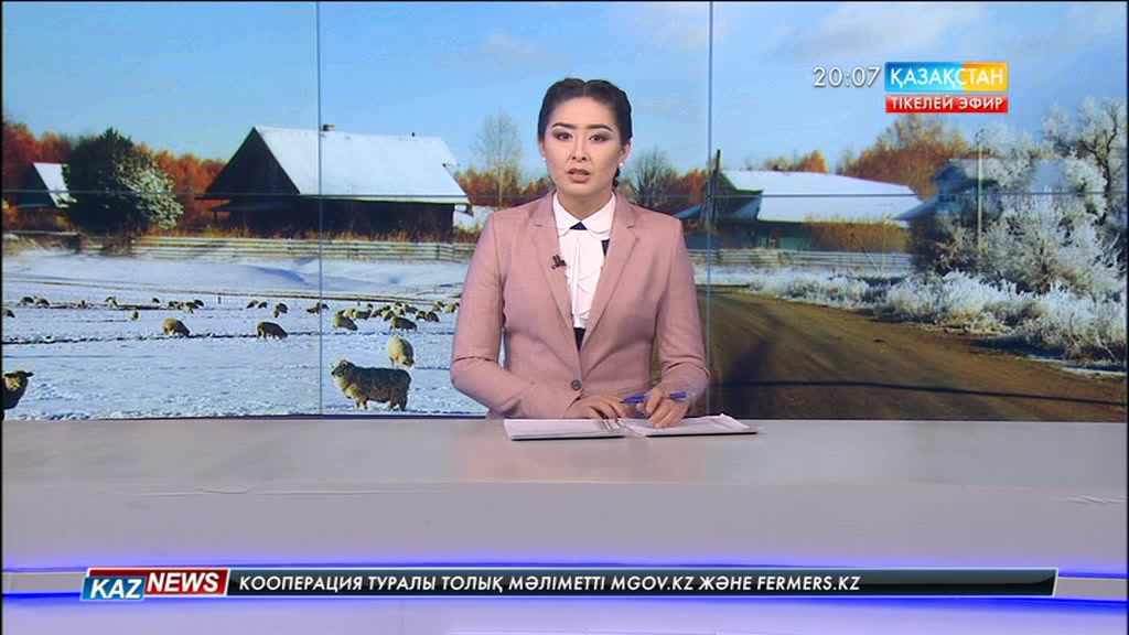 Ауыл шарушалығын субсидиялаудың тиімді жүйесі енгізіледі