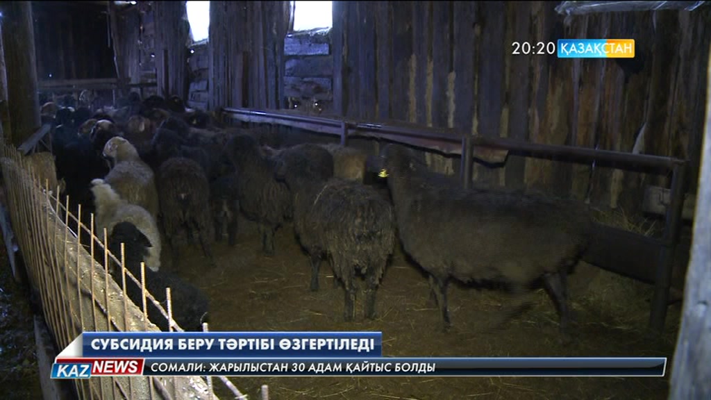 Субсидиялау тәртібі өзгертіледі
